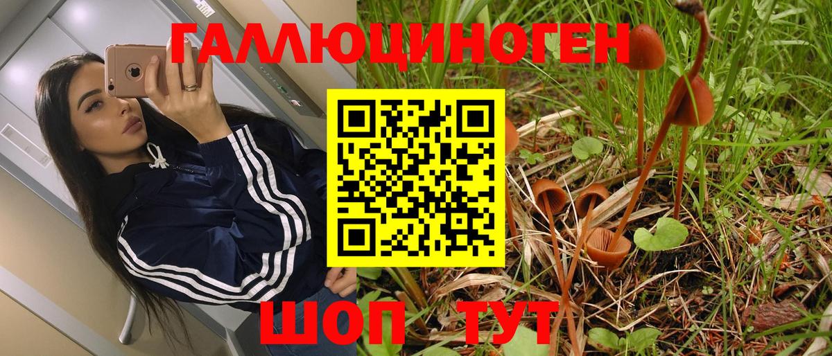 Галлюциногенные грибы Psilocybe  наркотики  Вход с VPN  Стрежевой  Псилоцибиновые грибы прущие грибы 